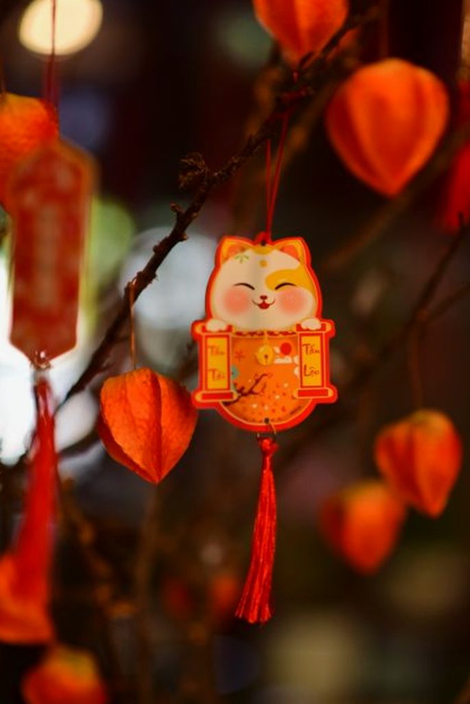 phản hồi Sodo